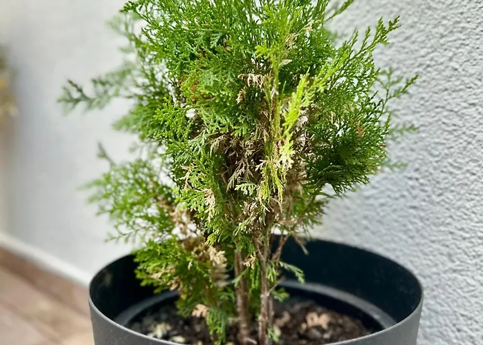 Apartmán Central District 3 Bedroom Place *